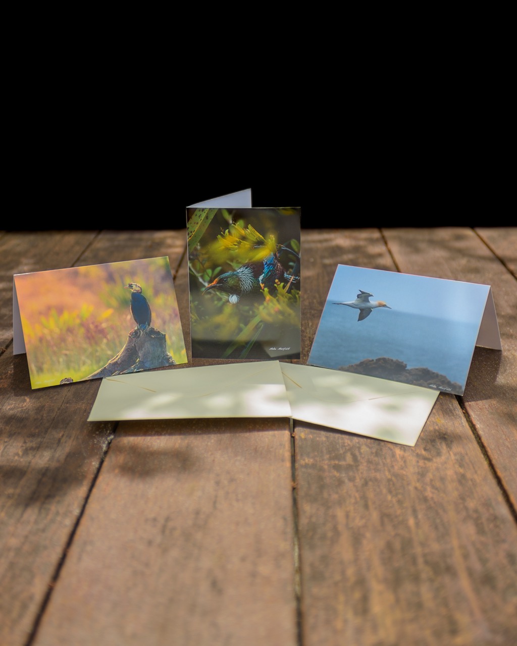 Summer Wildlife Greeting Cards Set - New Zealand Bird Photography